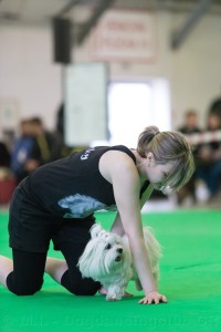 10273606_866356410046371_35220225530893402_n