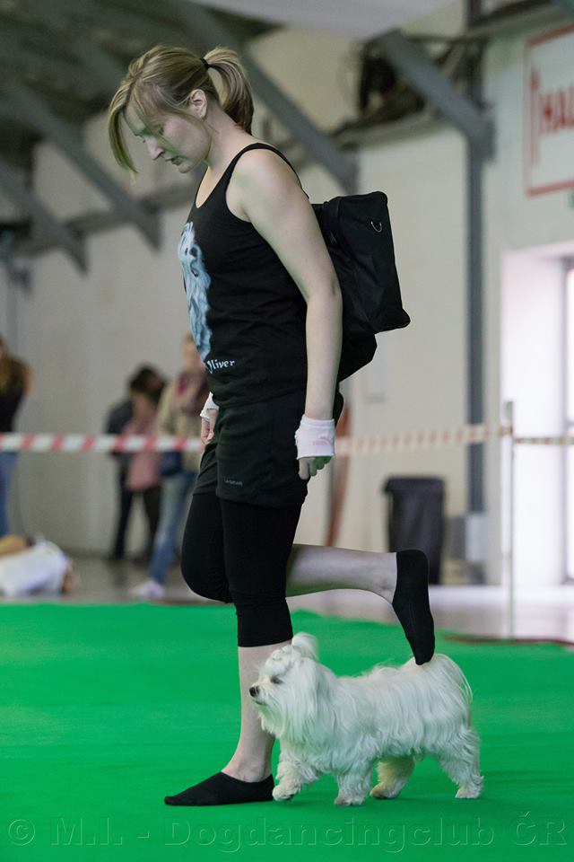 Kvalifikační závod na ME a MS v dogdancingu 3.5.2014